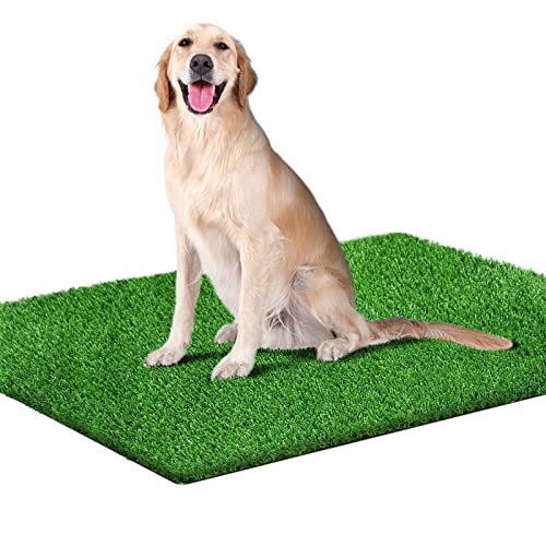 how do you clean fake grass for dogs